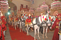 Click here for close up